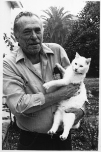 bukowski with cat